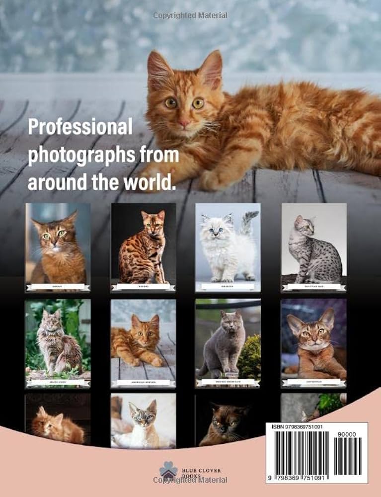 本256／洋書　図鑑　all the World's Cat Breeds 本256／洋書 図鑑 all the World's Cat Breeds - メルカリ